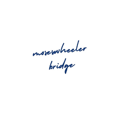 moseswheelerbridge.com | เลี้ยงลูกแฝด ต้องเตรียมอะไร